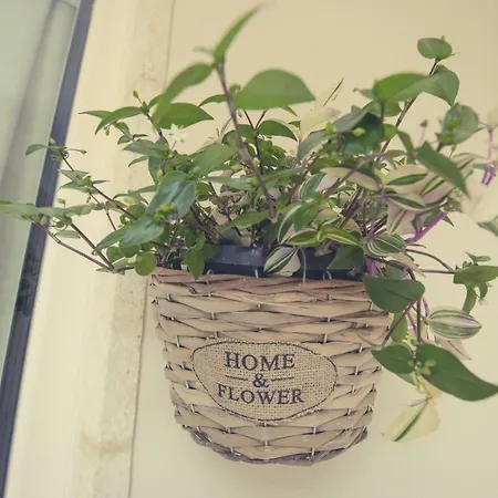 Kees Apulian Vakantiehuis Monopoli