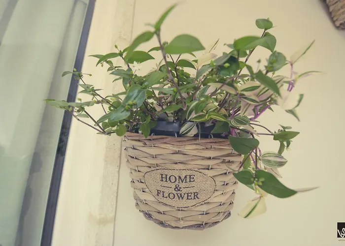 Kees Apulian 度假居 莫诺波利