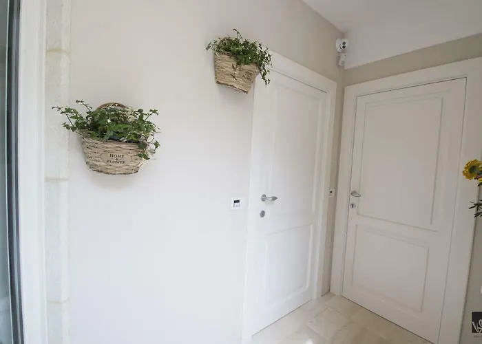 Kees Apulian 莫诺波利