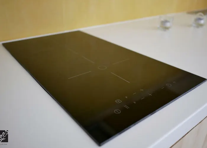 Kees Apulian 莫诺波利